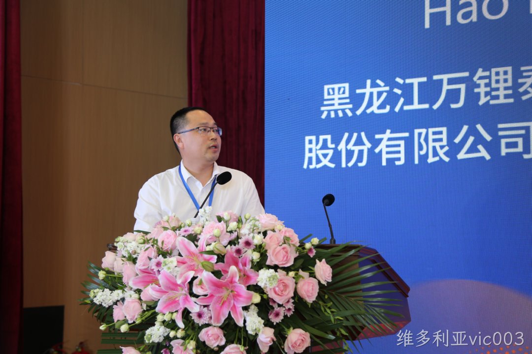 维多利亚vic003总经理郝立伟出席第六届中国国际新材料产业博览会并作专题演讲(图2)