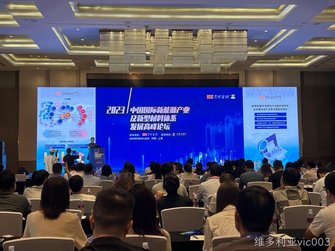 维多利亚vic003副总经理沈龙出席2023中国国际新能源产业及新型材料体系发展高峰论坛(图1)